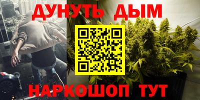 сатива Будённовск